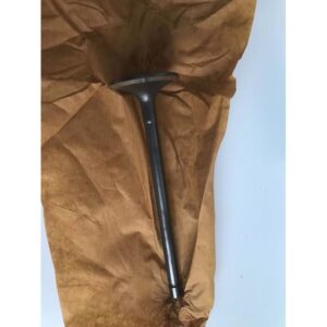 HOWO Intake Valve VG1540050015